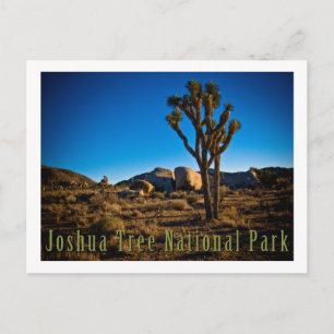 Joshua Tree Nationalpark Postkarte
