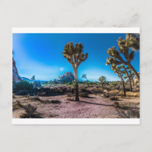 Joshua Tree Nationalpark Postkarte