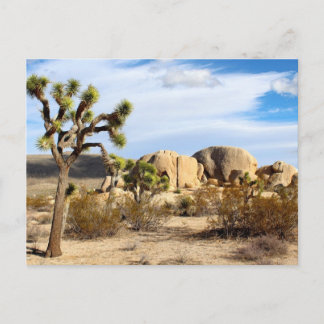 Joshua Tree Nationalpark Postkarte