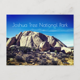 Joshua Tree Nationalpark Postkarte