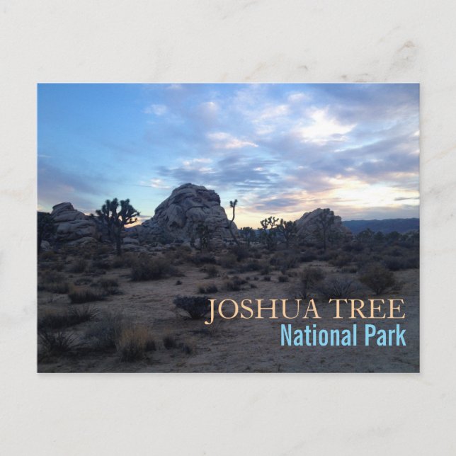 Joshua Tree Nationalpark Postkarte (Vorderseite)