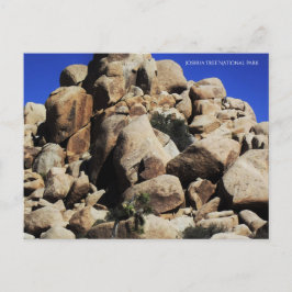 Joshua Tree Nationalpark Postkarte