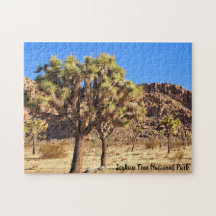 Joshua Tree Nationalpark