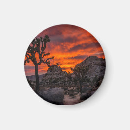 Joshua Tree Nationalpark Red Sunset Magnet
