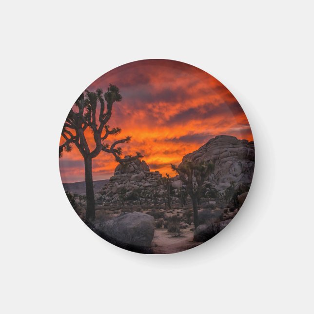 Joshua Tree Nationalpark Red Sunset Magnet (Vorne)