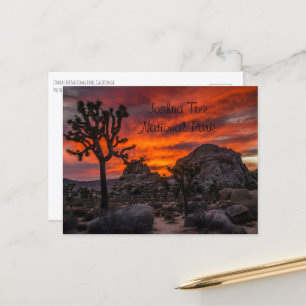 Joshua Tree Nationalpark Red Sunset Postkarte