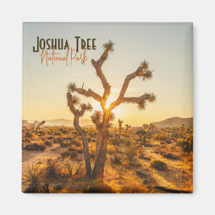 Joshua Tree Nationalpark Souvenir Geschenk Magnet