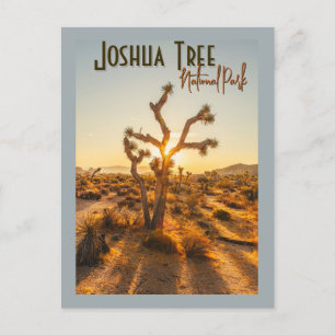 Joshua Tree Nationalpark Souvenir Geschenk Postkarte