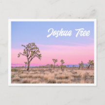 Joshua Tree Nationalpark Sunset Foto Postcard