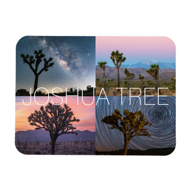 Joshua Tree Nationalpark Sunset Night Landschaft Magnet (Horizontal)