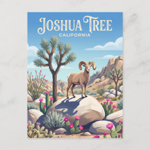Joshua-Tree-Nationalpark USA Postkarte