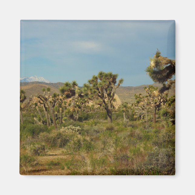 Joshua Tree Nationalpark Wüste Landschaft Magnet (Vorne)