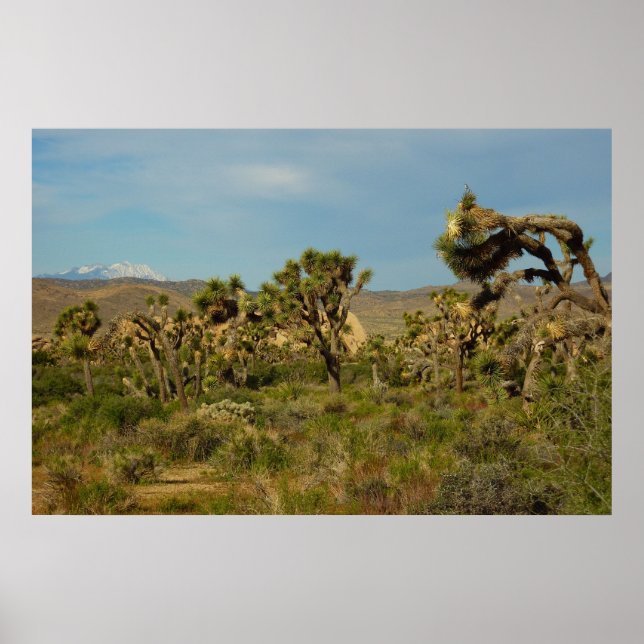 Joshua Tree Nationalpark Wüste Landschaft Poster (Vorne)