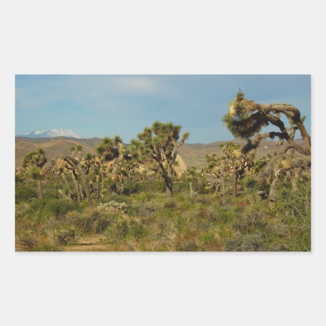 Joshua Tree Nationalpark Wüste Landschaft Rechteckiger Aufkleber (Vorderseite)