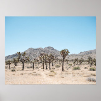 Joshua Tree Park Druckposter Papier (Halbglanz) Poster
