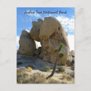 Joshua Tree Park Postcard! Postkarte