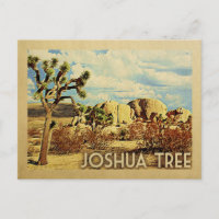 Joshua Tree Postcard California