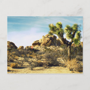 Joshua Tree Postcard Postkarte