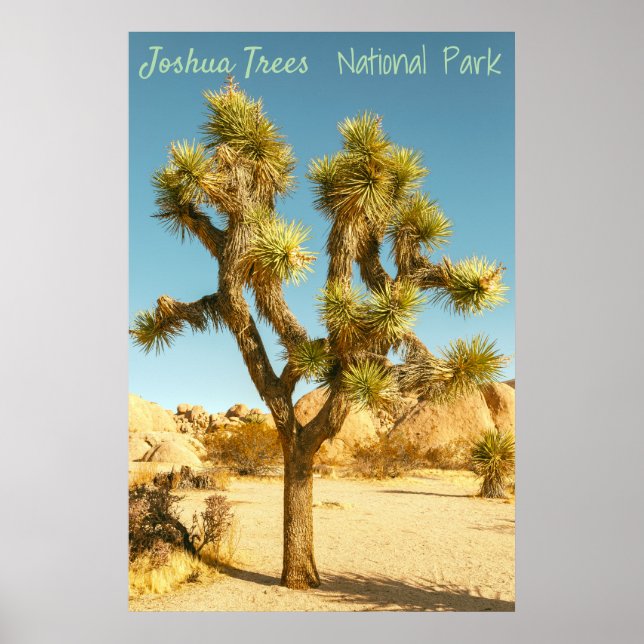 Joshua Tree Poster (Vorne)