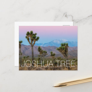 Joshua Tree Postkarte