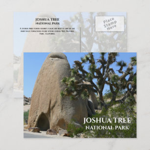 Joshua Tree, Rock Formations Joshua Tree NP Postkarte