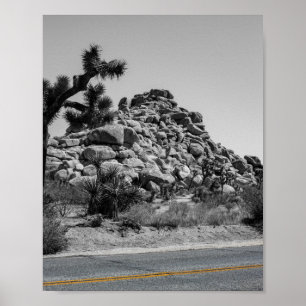 Joshua Tree Rocks with Road - California Foto Poster