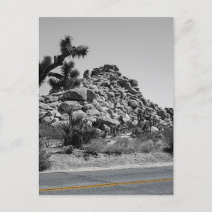 Joshua Tree Rocks with Road - California Foto Postkarte