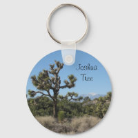 Joshua Tree View