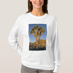 Joshua Tree, Yucca brevifolia) und Granit T-Shirt