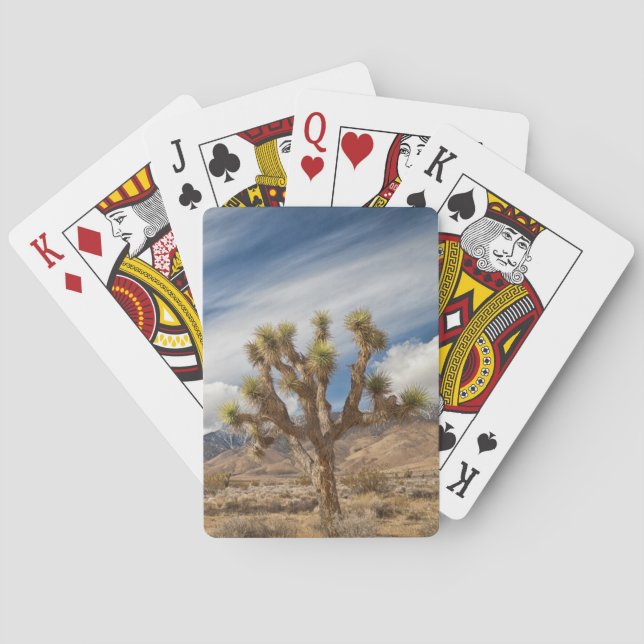 Joshua Trees in der Wüste Spielkarten (Rückseite)
