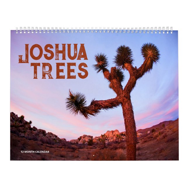 Joshua Trees Kalender (Titelbild)