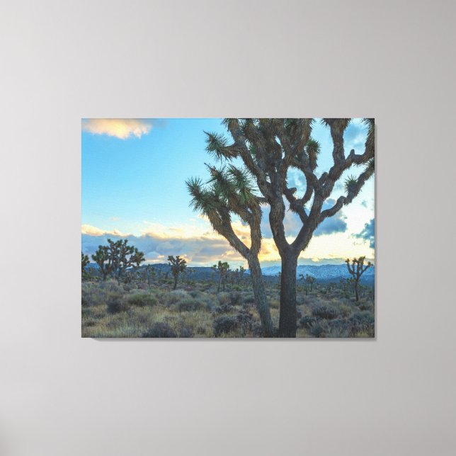 Joshua Trees Landschaft bei Sunset Leinwanddruck (Vorderseite)