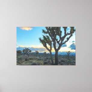 Joshua Trees Landschaft bei Sunset Leinwanddruck