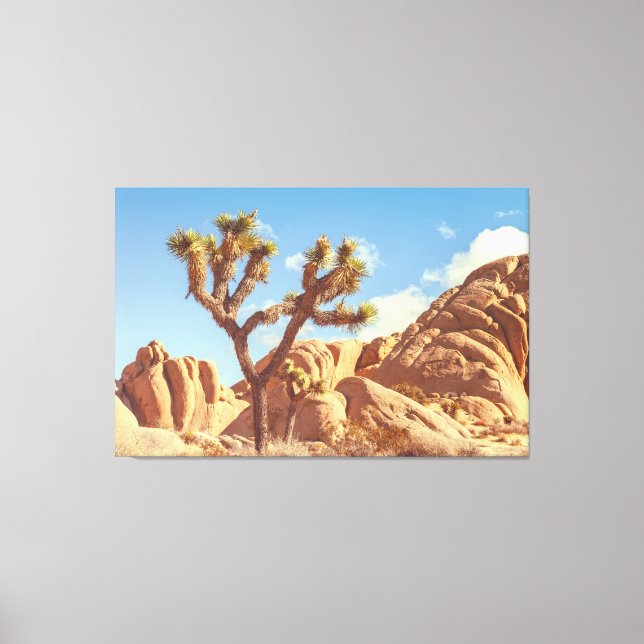 Joshua Trees Landschaft mit Felsformationen Leinwanddruck (Vorderseite)