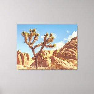Joshua Trees Landschaft mit Felsformationen Leinwanddruck