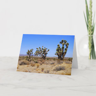 Joshua Trees, Mojave Wüste, Grußkarte Karte