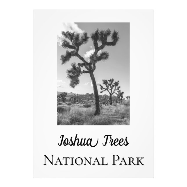 Joshua Trees Nationalpark Fotodruck (Vorne)