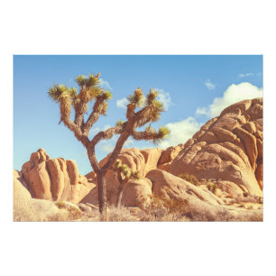 Joshua Trees Nationalpark Landschaftslandschaft Fotodruck