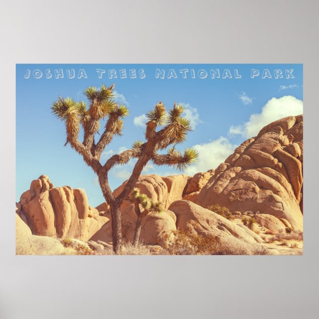 Joshua Trees Nationalpark Landschaftslandschaft Poster (Vorne)