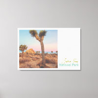 Joshua Trees Nationalpark