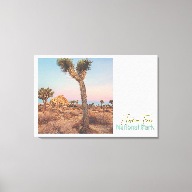 Joshua Trees Nationalpark Leinwanddruck (Vorderseite)