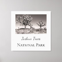 Joshua Trees Nationalpark