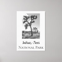 Joshua Trees Nationalpark