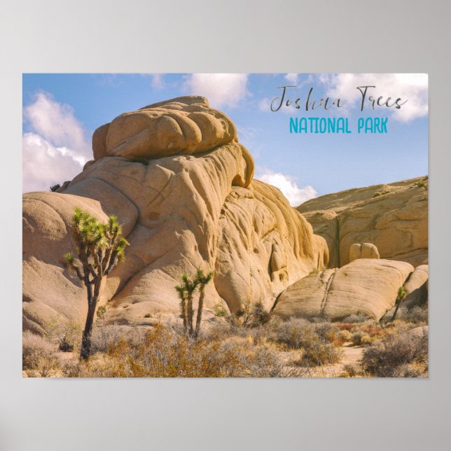 Joshua Trees Nationalpark Poster (Vorne)