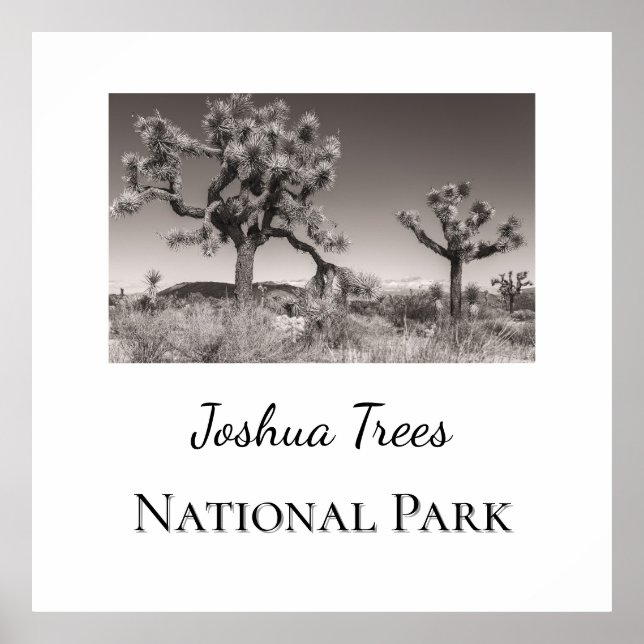 Joshua Trees Nationalpark Poster (Vorne)