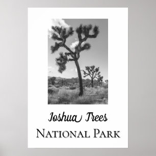 Joshua Trees Nationalpark Poster