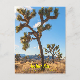 Joshua-Trees-Nationalpark Postkarte