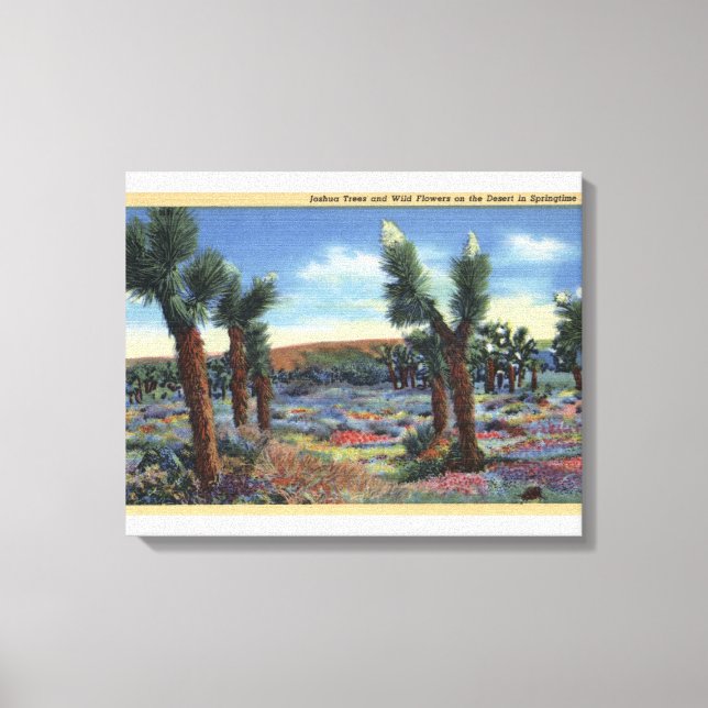 Joshua Trees und Wüste Wild Blume View Leinwanddruck (Vorderseite)