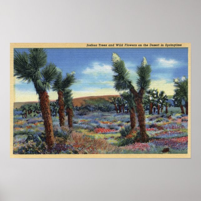 Joshua Trees und Wüste Wild Blume View Poster (Vorne)