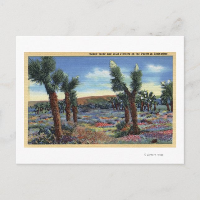 Joshua Trees und Wüste Wild Blume View Postkarte (Vorderseite)
